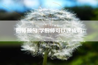 厨师颠勺(学厨师可以速成吗)