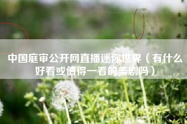 中国庭审公开网直播迷你世界（有什么好看或值得一看的美剧吗）