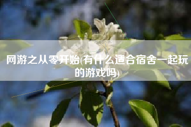 网游之从零开始(有什么适合宿舍一起玩的游戏吗)