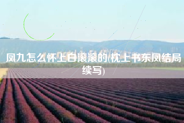 凤九怎么怀上白滚滚的(枕上书东凤结局续写)