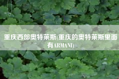 重庆西部奥特莱斯(重庆的奥特莱斯里面有ARMANI)