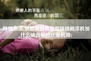 除锈刷漆(钢管调直机架管除锈刷漆机加什么油齿轮油还是机油)