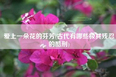 爱上一朵花的芬芳(古代有哪些极其残忍的酷刑)