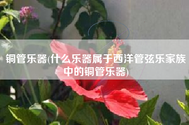铜管乐器(什么乐器属于西洋管弦乐家族中的铜管乐器)