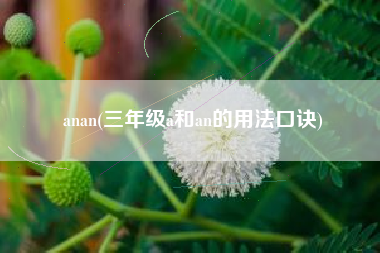anan(三年级a和an的用法口诀)