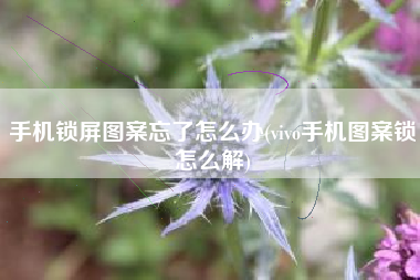 手机锁屏图案忘了怎么办(vivo手机图案锁怎么解)