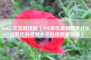 dnf二次觉醒技能（DNF复仇者转职是什么任务还有觉醒名觉醒技能都叫啥）