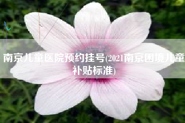 南京儿童医院预约挂号(2021南京困境儿童补贴标准)