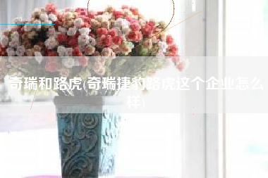 奇瑞和路虎(奇瑞捷豹路虎这个企业怎么样)