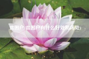 贫困户(贫困户有什么好处和坏处)