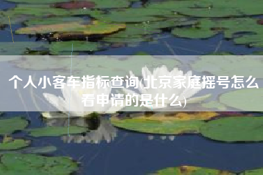 个人小客车指标查询(北京家庭摇号怎么看申请的是什么)