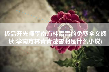 极品开光师李南方林青青的免费全文阅读(李南方林青青楚雪湘是什么小说)