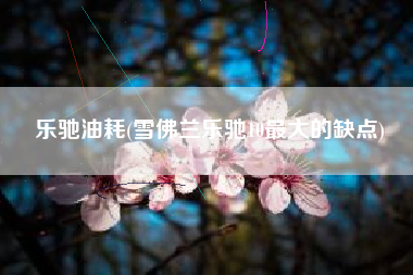 乐驰油耗(雪佛兰乐驰10最大的缺点)