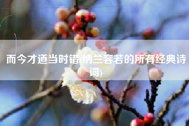 而今才道当时错(纳兰容若的所有经典诗词)