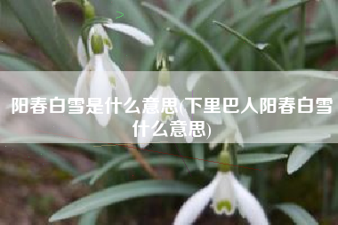阳春白雪是什么意思(下里巴人阳春白雪什么意思)