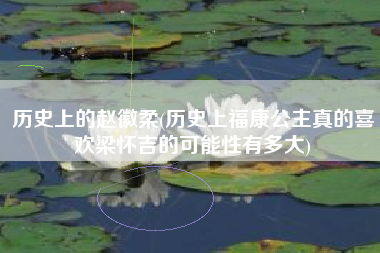 历史上的赵徽柔(历史上福康公主真的喜欢梁怀吉的可能性有多大)