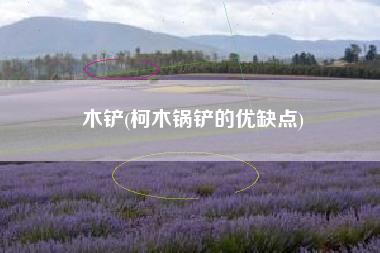 木铲(柯木锅铲的优缺点)