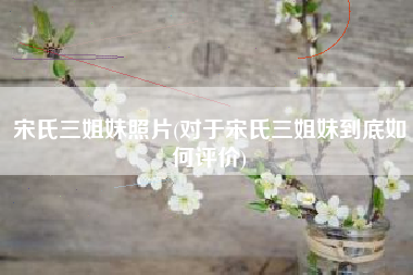 宋氏三姐妹照片(对于宋氏三姐妹到底如何评价)