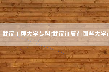 武汉工程大学专科(武汉江夏有哪些大学)
