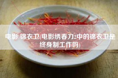 电影 锦衣卫(电影绣春刀2中的锦衣卫是终身制工作吗)