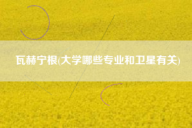 瓦赫宁根(大学哪些专业和卫星有关)