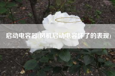启动电容器(风机启动电容坏了的表现)