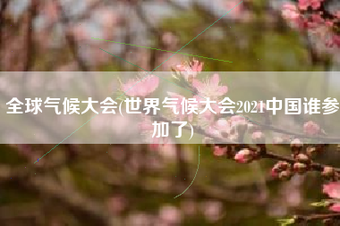 全球气候大会(世界气候大会2021中国谁参加了)