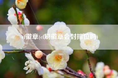 cf徽章(cf刷徽章会封排位吗)