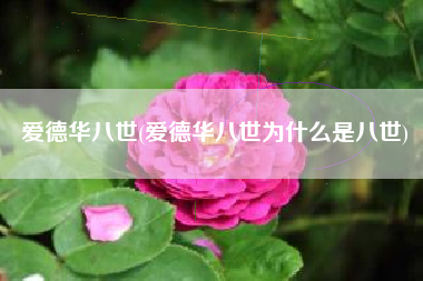 爱德华八世(爱德华八世为什么是八世)