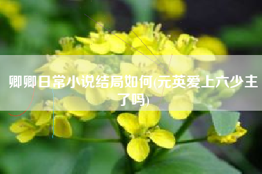 卿卿日常小说结局如何(元英爱上六少主了吗)