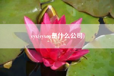 cyx(cyxon是什么公司)
