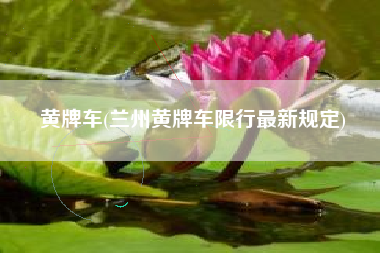 黄牌车(兰州黄牌车限行最新规定)