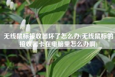 无线鼠标接收器坏了怎么办(无线鼠标的接收器卡在电脑里怎么办啊)