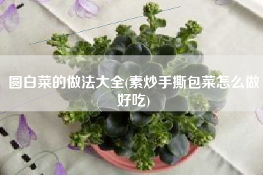 圆白菜的做法大全(素炒手撕包菜怎么做好吃)
