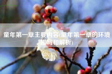 童年第一章主要内容(童年第一章的环境描写和解析)