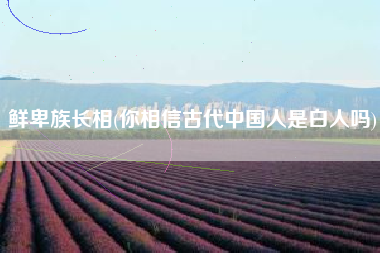 鲜卑族长相(你相信古代中国人是白人吗)