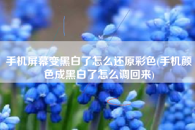 手机屏幕变黑白了怎么还原彩色(手机颜色成黑白了怎么调回来)