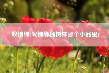 叹情缘(叹情缘杨树林哪个小品里)