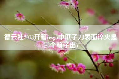 德云社2013开箱(csgo中爪子刀表面淬火是哪个箱子出)