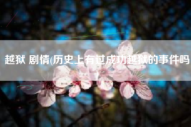 越狱 剧情(历史上有过成功越狱的事件吗)