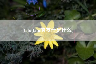 tatu(tatu的发音是什么)