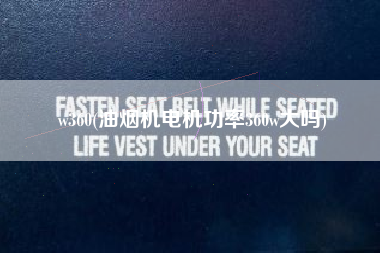 w360(油烟机电机功率360w大吗)