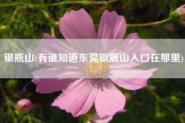银瓶山(有谁知道东莞银瓶山入口在那里)