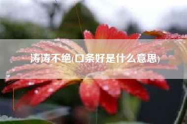 涛涛不绝(口条好是什么意思)