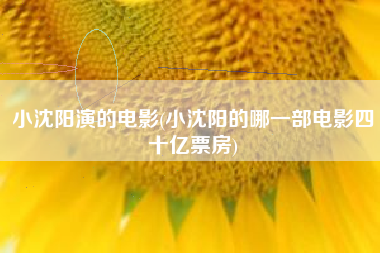 小沈阳演的电影(小沈阳的哪一部电影四十亿票房)