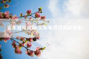 张东健电视剧(关东军进攻苏联电影)