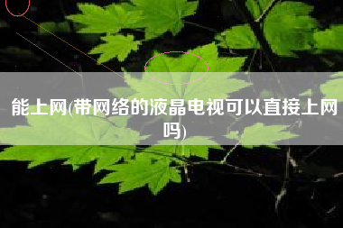 能上网(带网络的液晶电视可以直接上网吗)