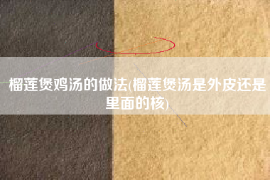 榴莲煲鸡汤的做法(榴莲煲汤是外皮还是里面的核)