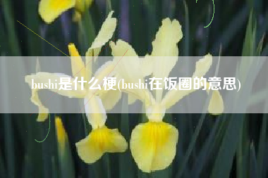 bushi是什么梗(bushi在饭圈的意思)