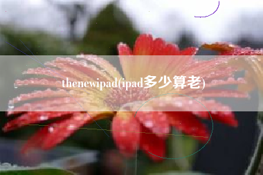 thenewipad(ipad多少算老)
